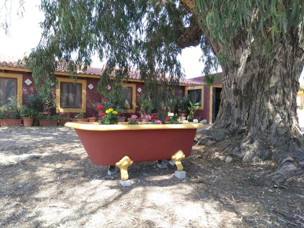 Casa Del Procurador Guest House Las Virtudes Exterior foto
